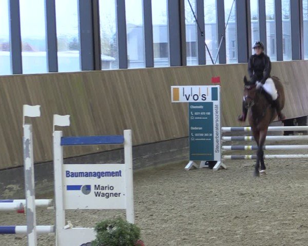 Reitturnier Zwickau 2025
