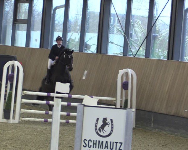Reitturnier Zwickau 2025