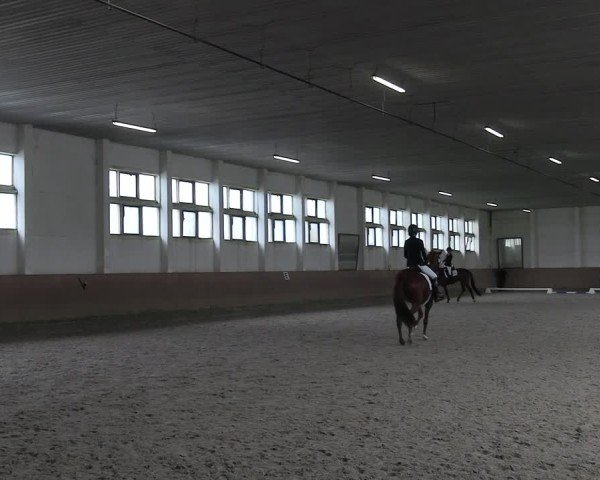 Reitturnier Prussendorf 2025