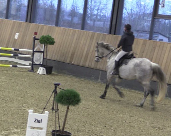 Reitturnier Zwickau 2025