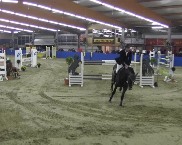6. Isterberger Euregio-Hallen Springturnier vom 10.-13.10.2013