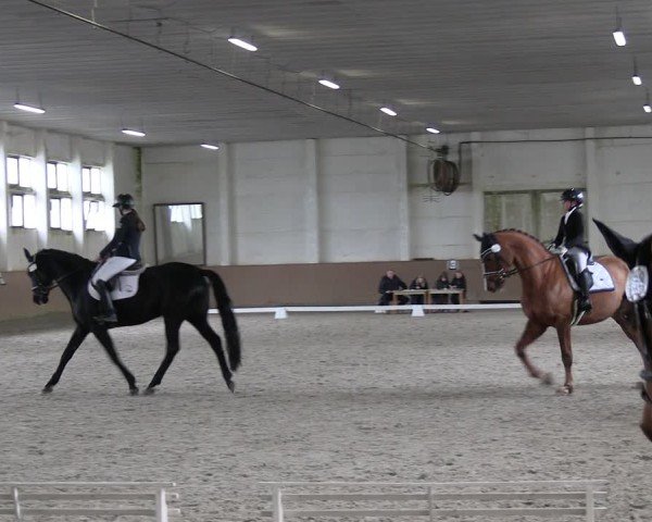 Reitturnier Prussendorf 2025