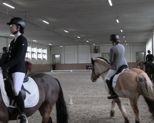 Reitturnier Prussendorf 2025