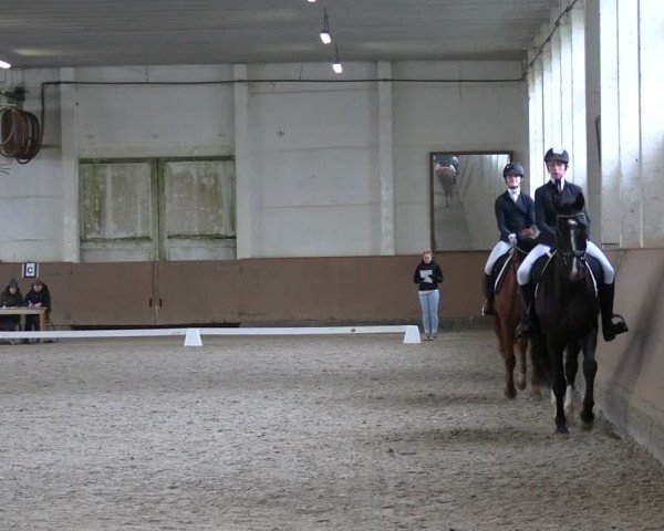 Reitturnier Prussendorf 2025