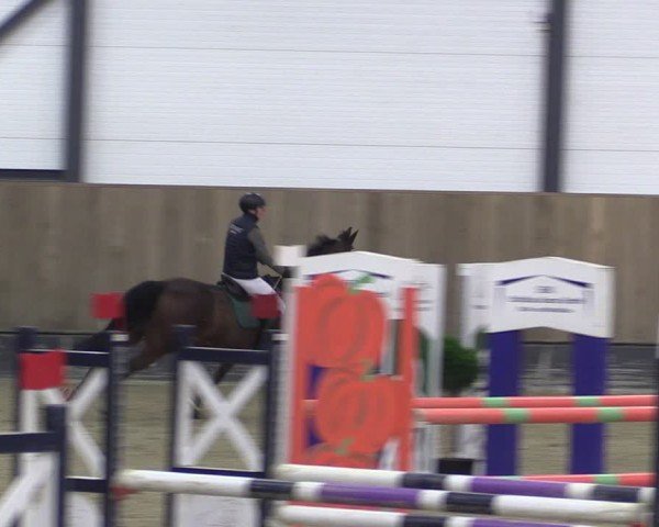 Reitturnier Zwickau 2025