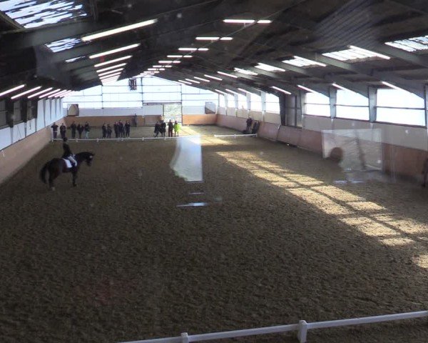 Reitturnier Datteln 2025