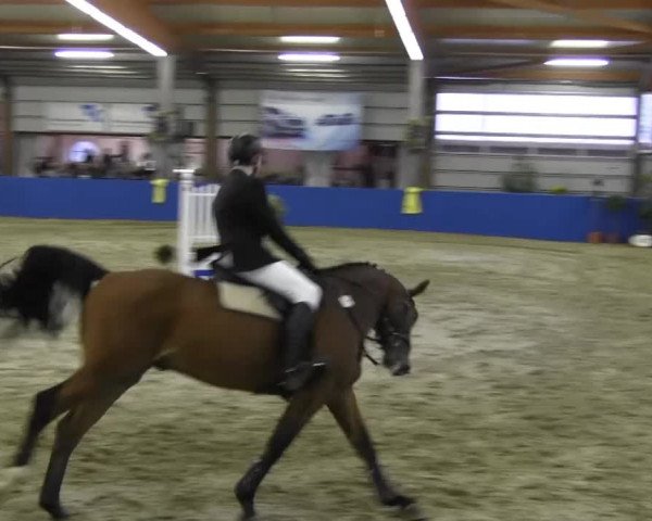 Reitturnier Isterberg 2013