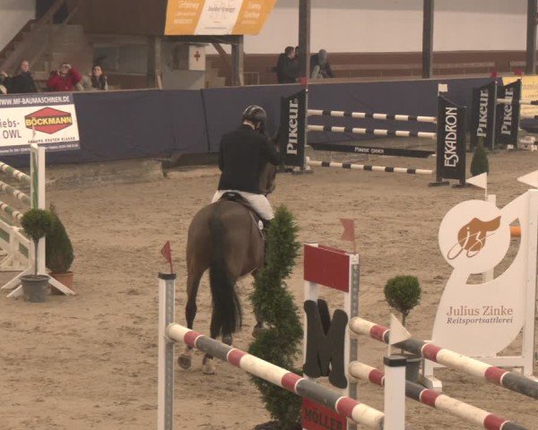 Reitturnier Exter 2025