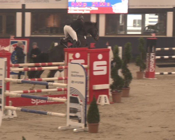 Reitturnier Exter 2025