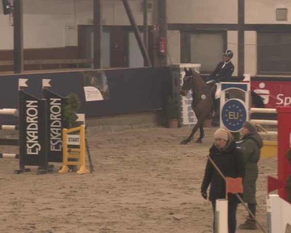 Reitturnier Exter 2025