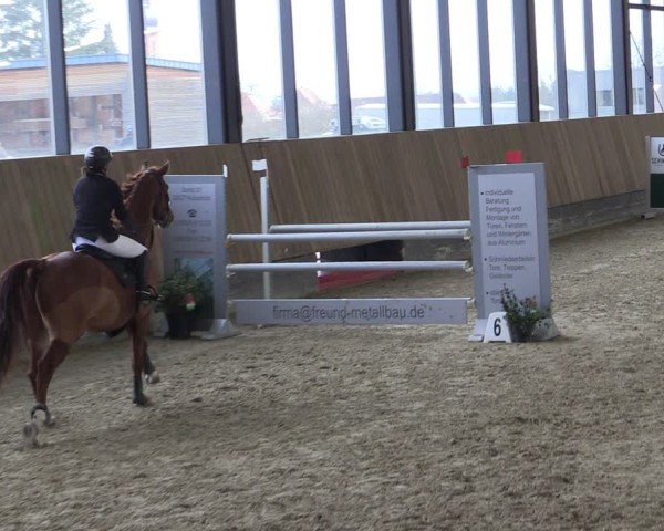 Reitturnier Zwickau 2025