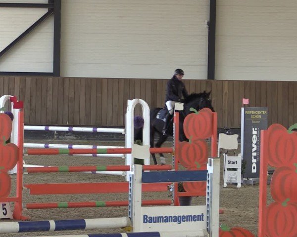 Reitturnier Zwickau 2025