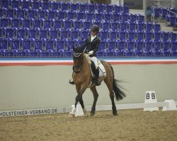 Dressurpferd Adliger (Arabisches Halbblut / Partbred, 2009, von Arystokrat AA)