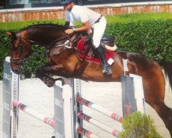 jumper Dukato Royal (KWPN (Royal Dutch Sporthorse), 2008, from Ukato)