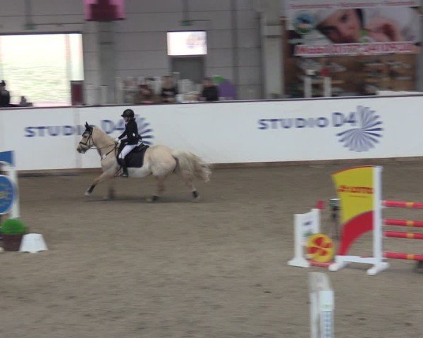 Reitturnier Prussendorf 2025