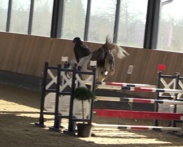 Reitturnier Zwickau 2025
