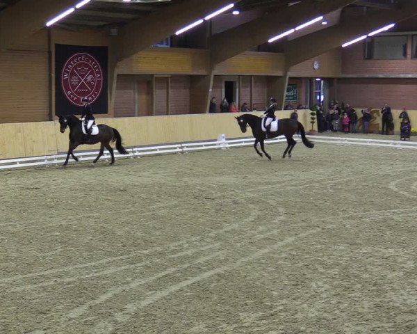 Reitturnier Paderborn 2021