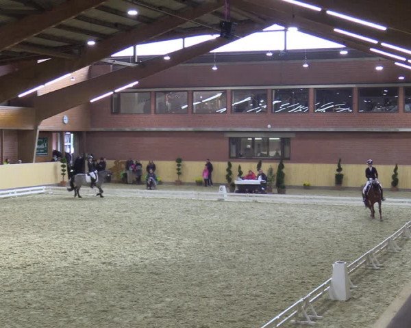 Reitturnier Paderborn 2021