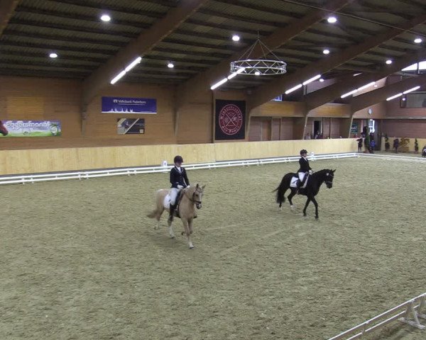 Reitturnier Paderborn 2021
