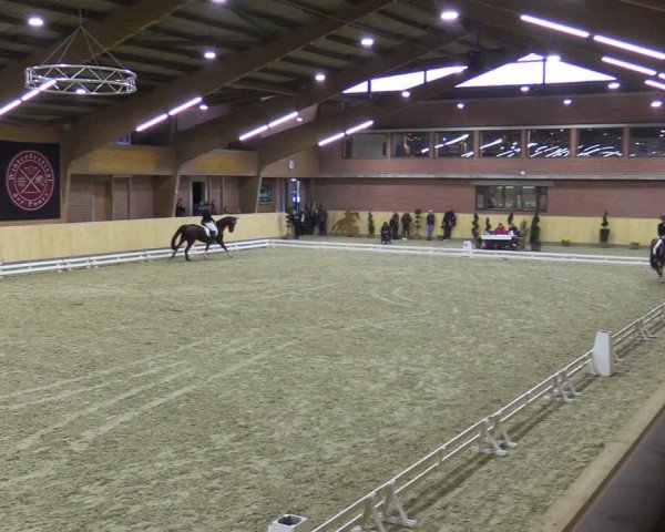 Reitturnier Paderborn 2021