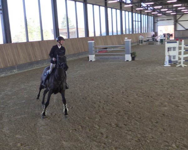 Reitturnier Zwickau 2025