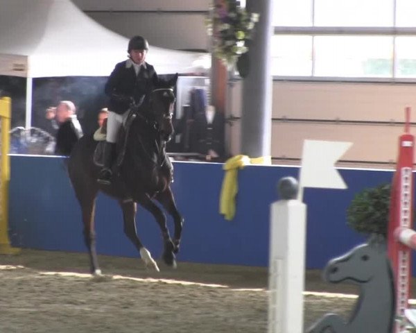 Reitturnier Isterberg 2013