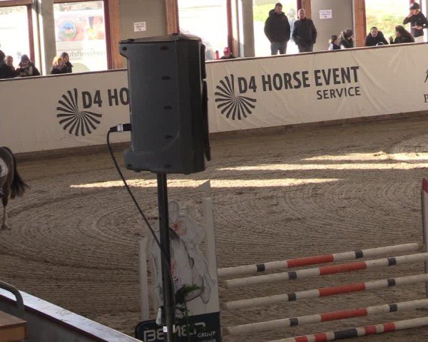 Reitturnier Prussendorf 2025