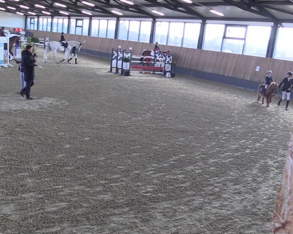 Reitturnier Zwickau 2025