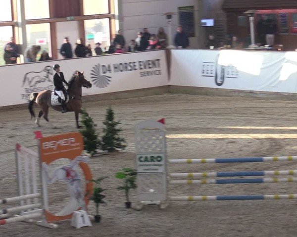 Reitturnier Prussendorf 2025