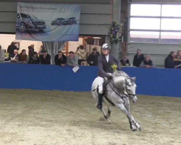 6. Isterberger Euregio-Hallen Springturnier vom 10.-13.10.2013