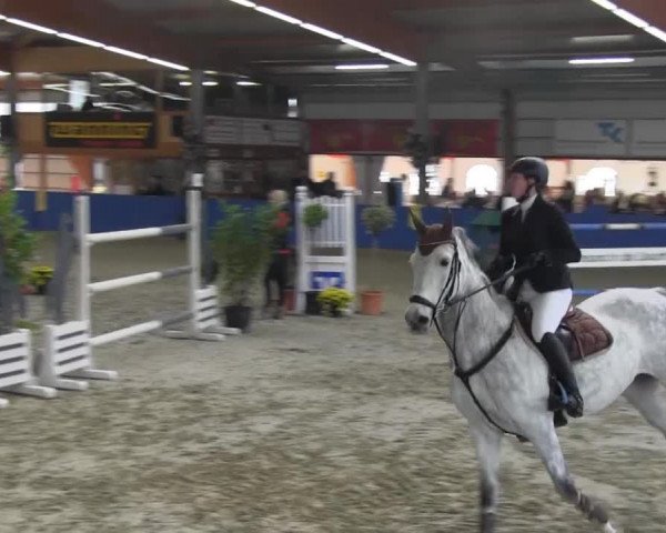 Reitturnier Isterberg 2013