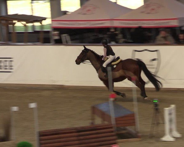 Reitturnier Prussendorf 2025
