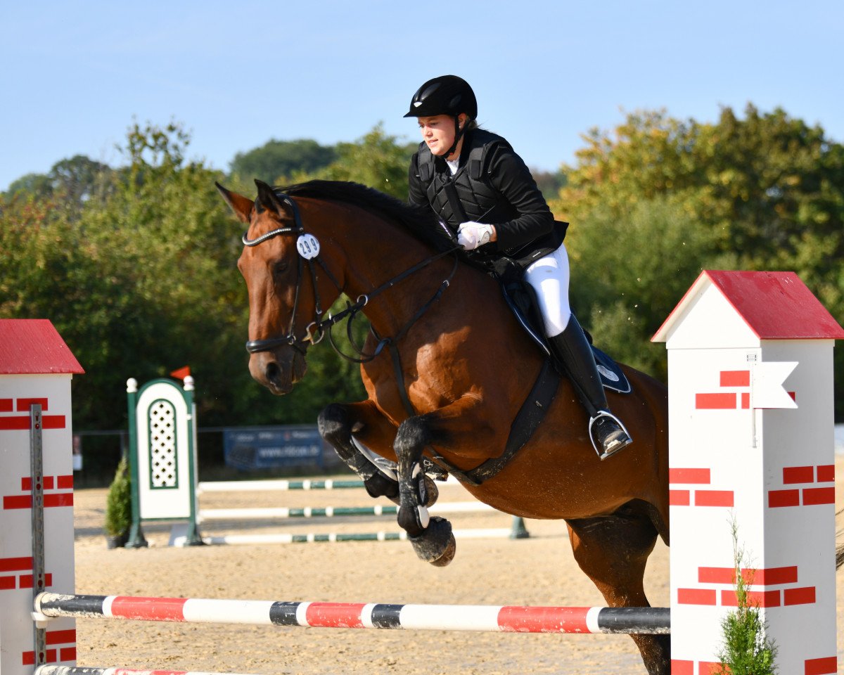 broodmare Lome Nobless (Zweibrücken, 2003, from Lord Nobel S)