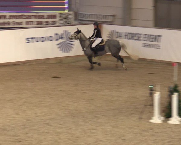 Reitturnier Prussendorf 2025