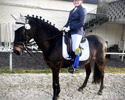 broodmare Garbosa (Arabian, 2012)
