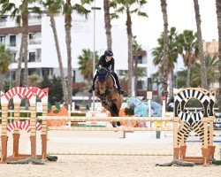 Springpferd Lake District B (Irish Sport Horse, 2015, von Bennys Legacy)