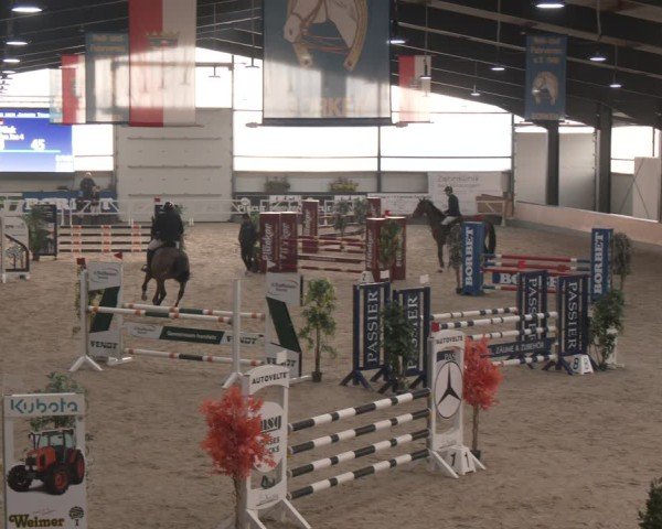 Reitturnier Borken (Hessen) 2025