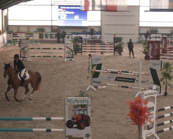 Reitturnier Borken (Hessen) 2025