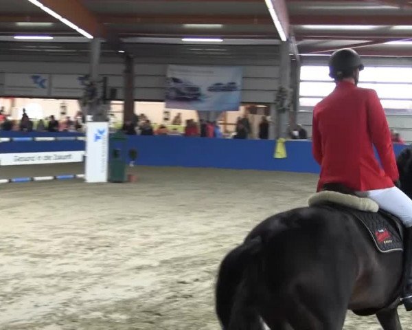 Reitturnier Isterberg 2013