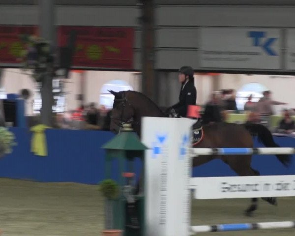 Reitturnier Isterberg 2013