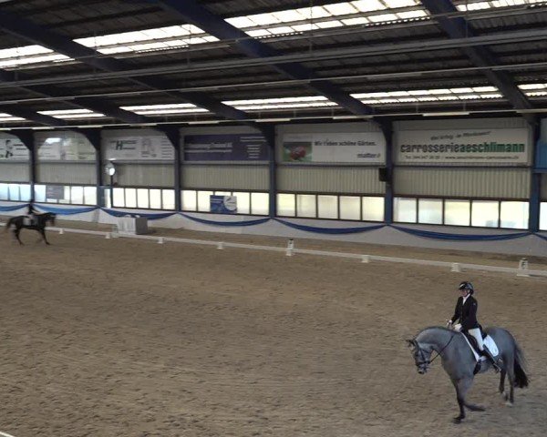 Reitturnier Buchs ZH 2025