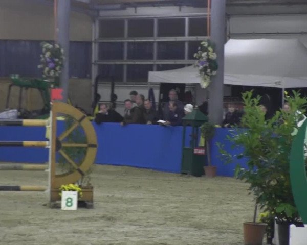 6. Isterberger Euregio-Hallen Springturnier vom 10.-13.10.2013