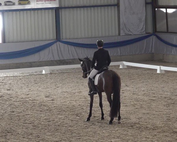 Reitturnier Buchs ZH 2025