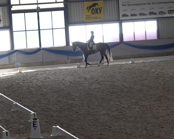 Reitturnier Buchs ZH 2025