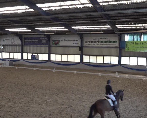 Reitturnier Buchs ZH 2025