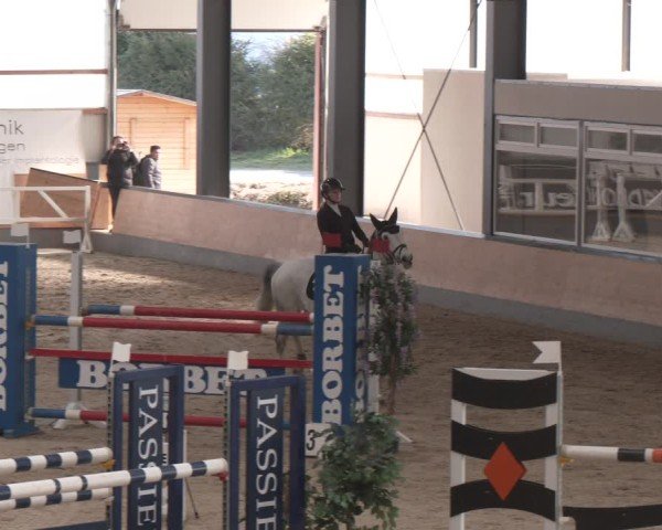 Reitturnier Borken (Hessen) 2025
