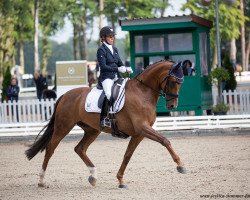 Dressurpferd Renaissance 121 (Oldenburger, 2015, von Blue Hors Romanov)