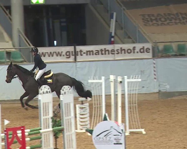 Reitturnier Kreuth 2025