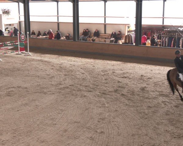 Reitturnier Borken (Hessen) 2025