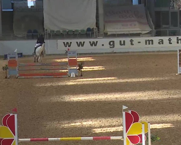 Reitturnier Kreuth 2025